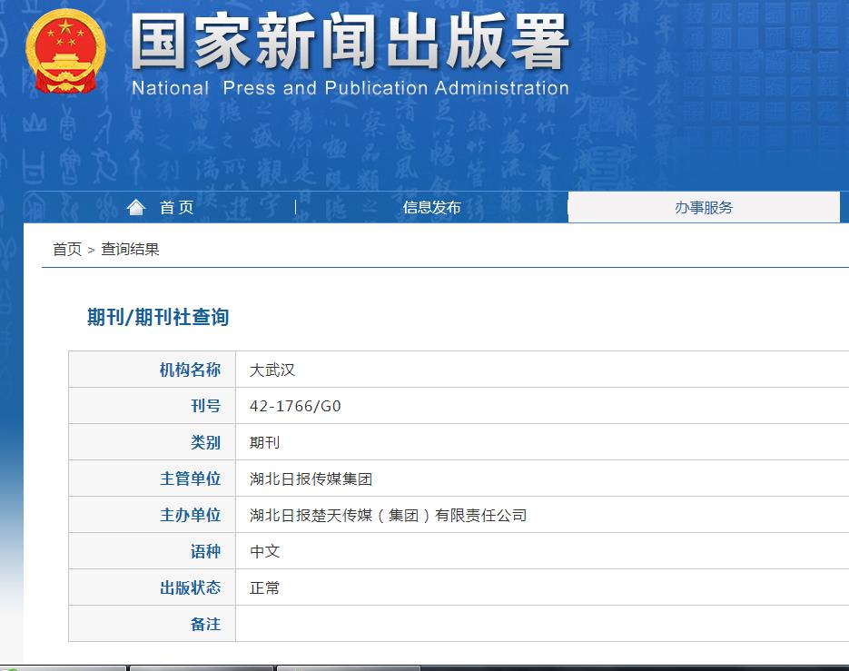 大武汉杂志备案信息