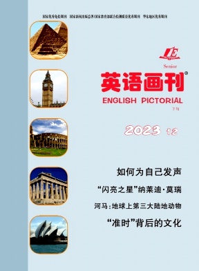 英语画刊(高中版)