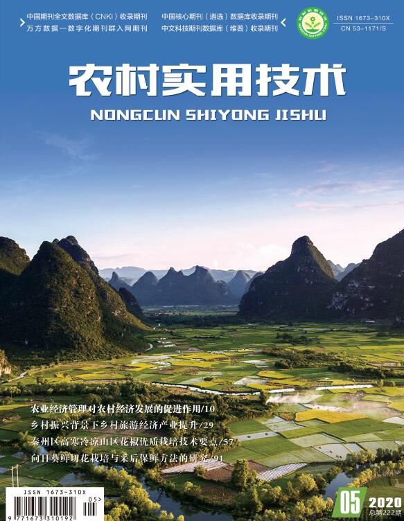 农村实用技术