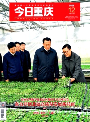 今日重庆