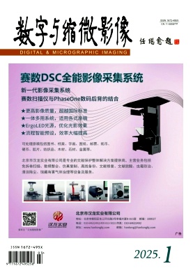 数字与缩微影像